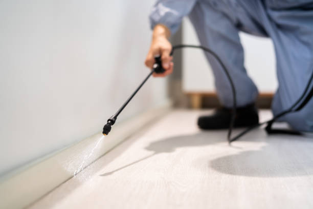 Licensed Pest Control service in Miles, TX - Show Me Pest Control