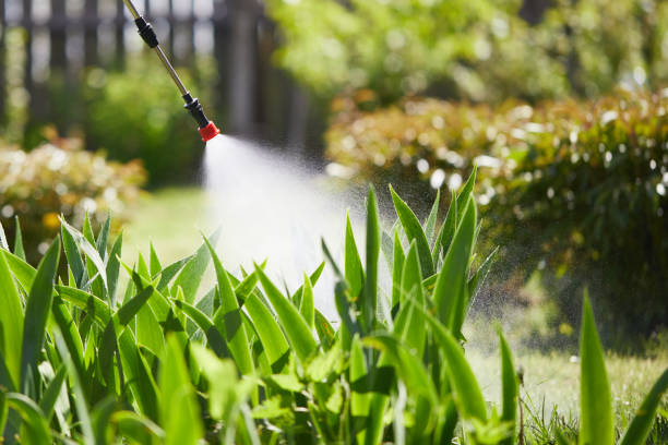 Tamper-Resistant Bait Stations for Rodents in Miles