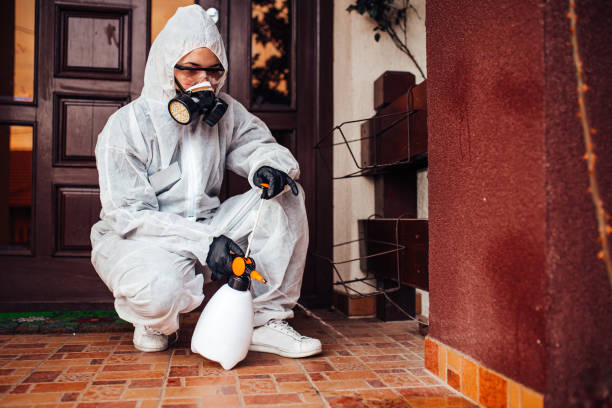 Attic and Crawl Space Rodent Treatment in Miles